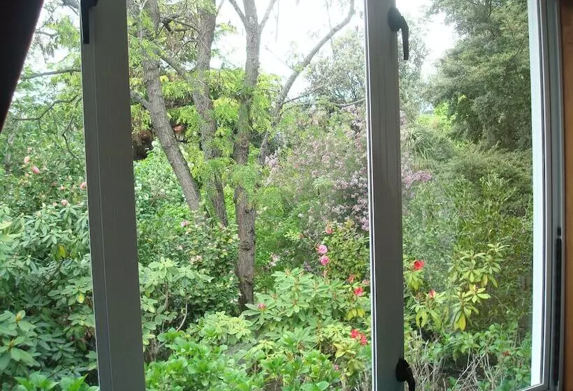 Olde Mill House B&b