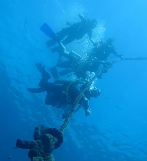 The Blue Orchid Resort