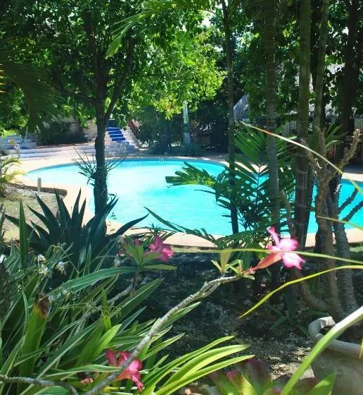 The Blue Orchid Resort