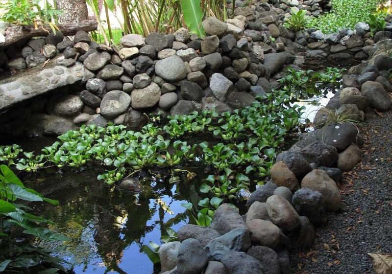 호텔 Restaurante Carara