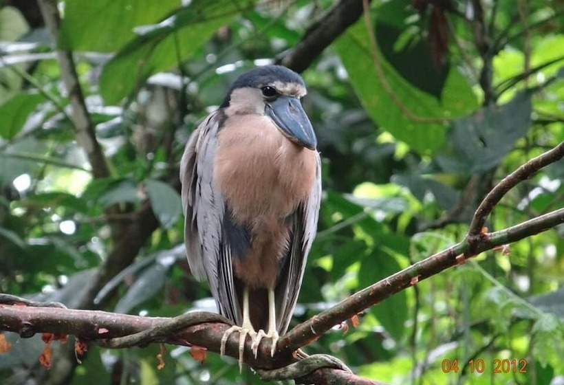 هتل Tangara Arenal