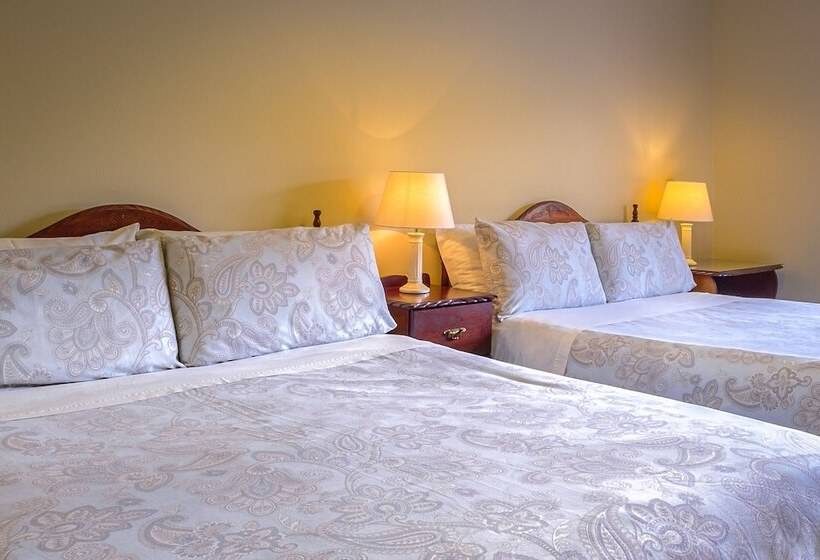 Fallons Bed And Breakfast