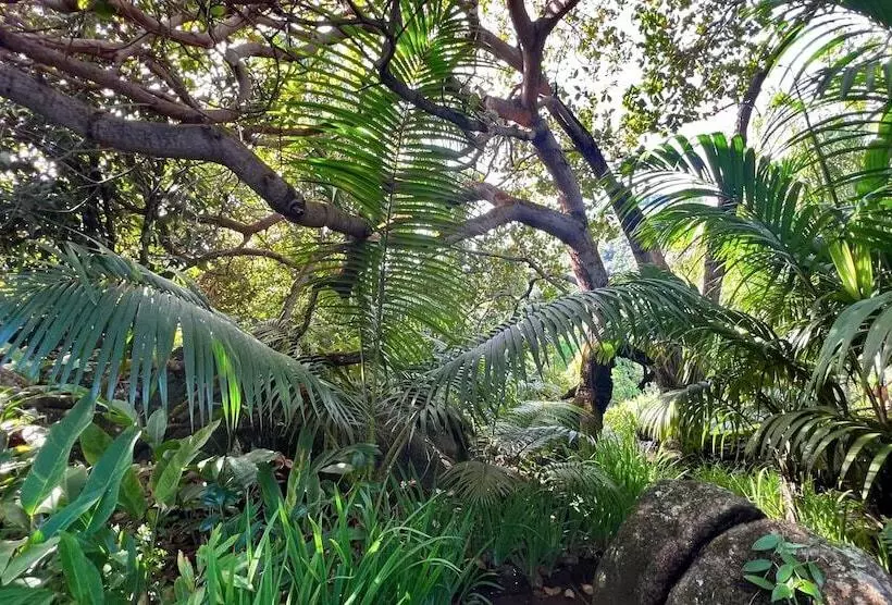 پانسیون Cashew Nut Grove Chalets