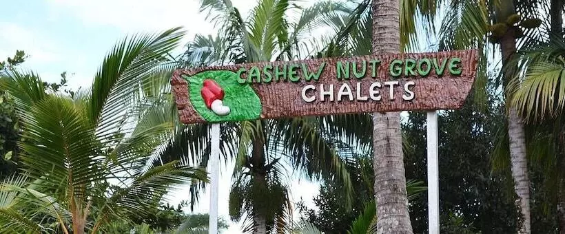 پانسیون Cashew Nut Grove Chalets