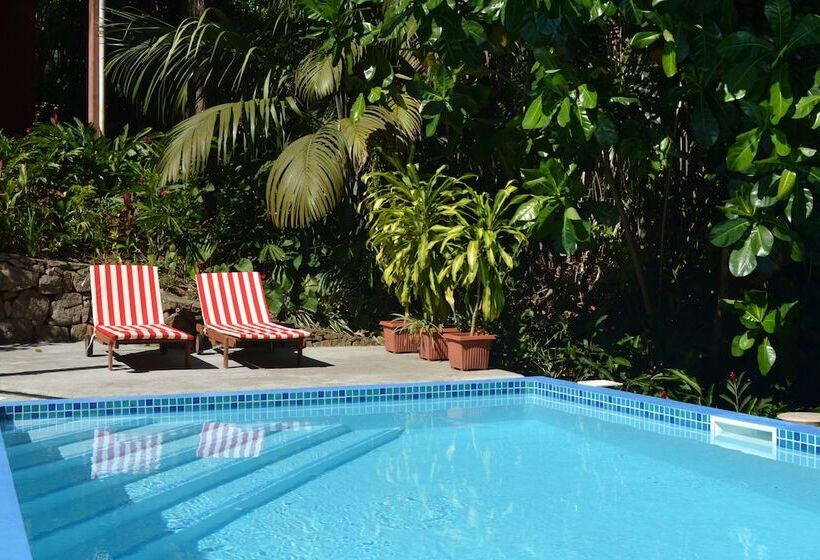 پانسیون Cashew Nut Grove Chalets