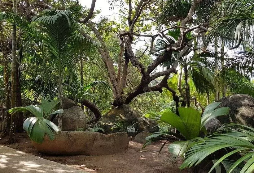 پانسیون Cashew Nut Grove Chalets