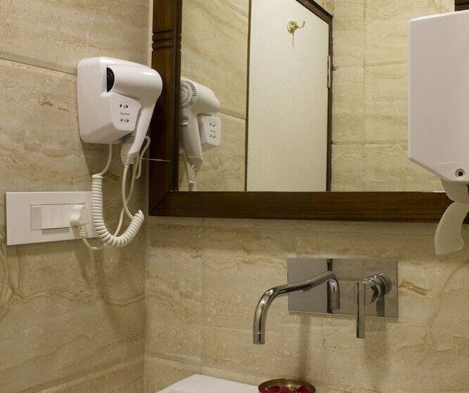 Отель Ajmer Inn