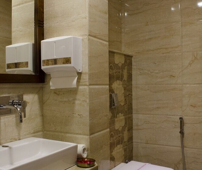 Отель Ajmer Inn