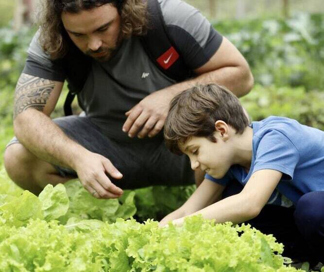 Отель Fazenda Morros Verdes Ecolodge