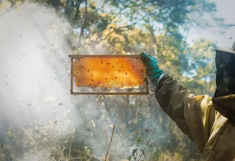 Hotelli Fazenda Morros Verdes Ecolodge