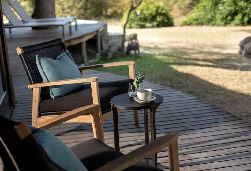 호텔 Makanyi Private Game Lodge