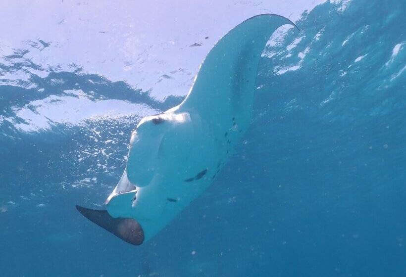 هتل Akasha Beach Maafushi