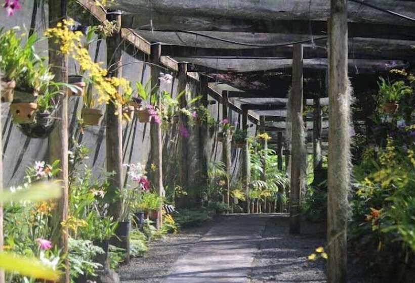 Otel Sailors Beach Fiji