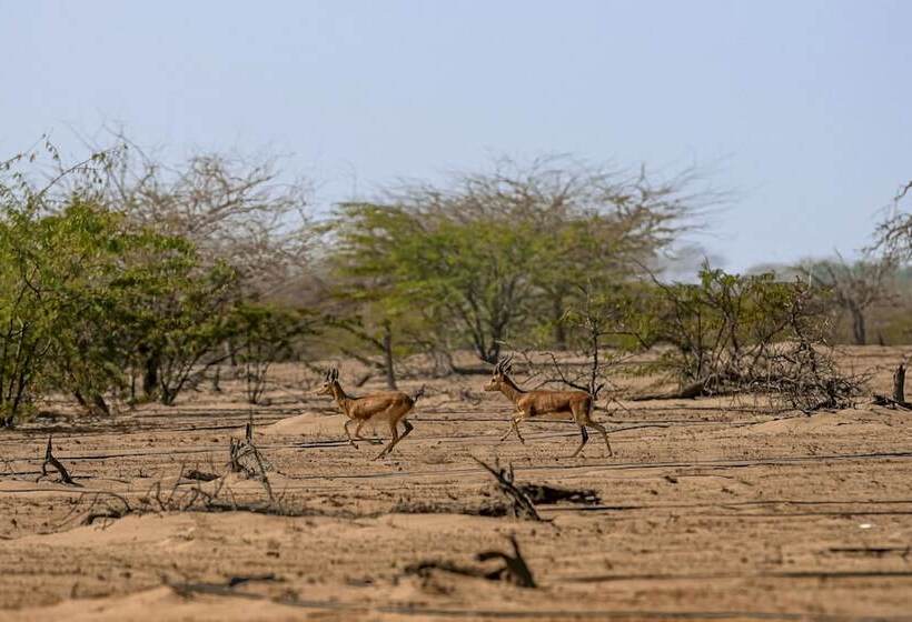 Hotel Siniya Island Resorts