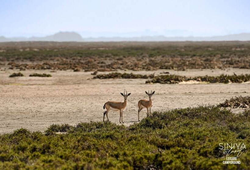 Hotel Siniya Island Resorts