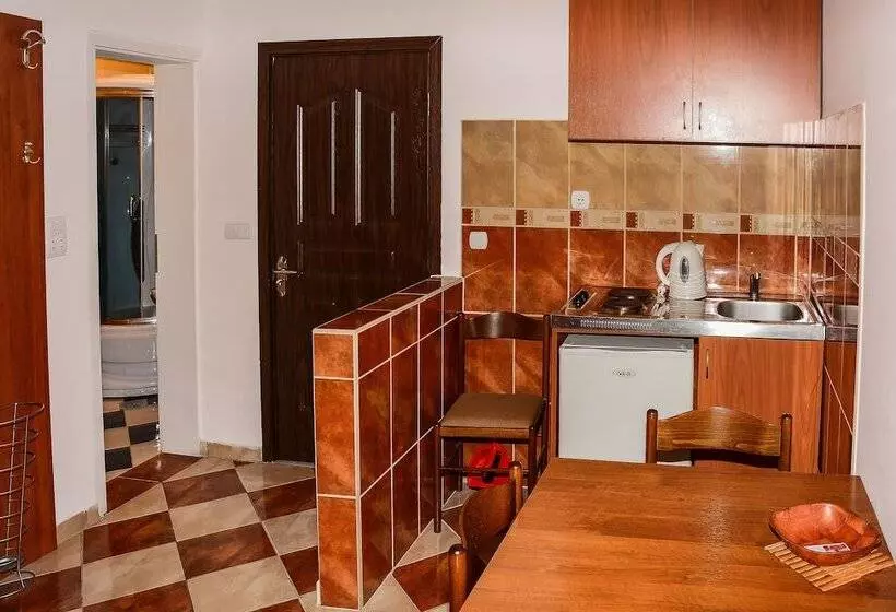 پانسیون Apartments Radovic Kolasin