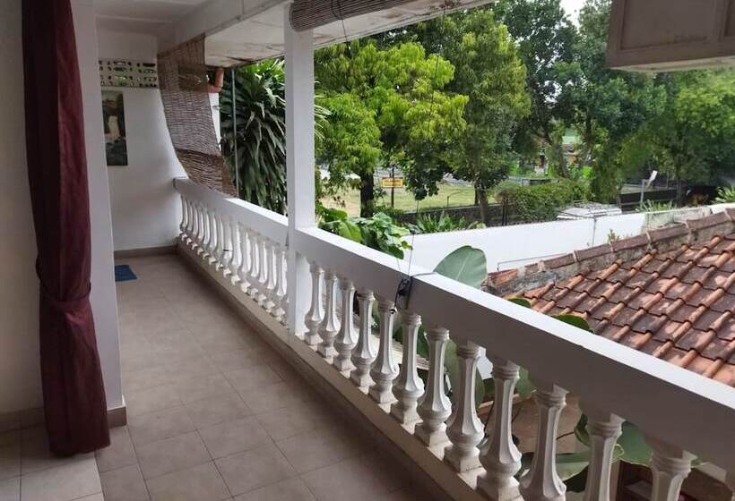 Pensiune New Micasa Estu Casa