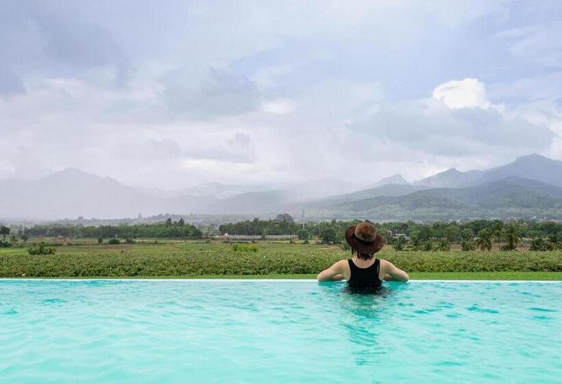 בית מלון כפרי C View Home