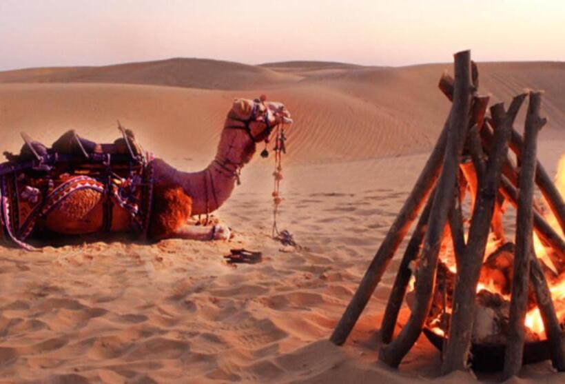 استراحتگاه Desert Dream Royal Camps & Pool