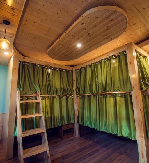 The Forest Pinnacle Hostel And Café, Old Manali