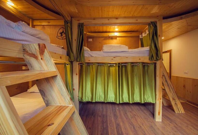 The Forest Pinnacle Hostel And Café, Old Manali