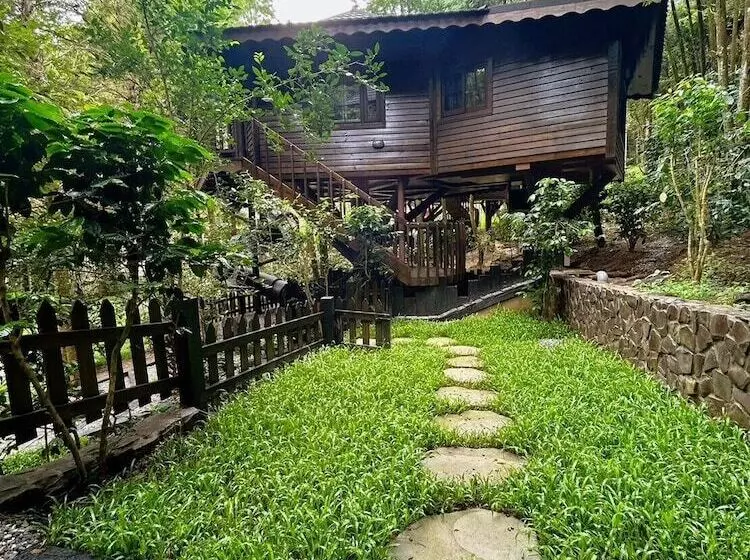 تختخواب و صبحانه Senboard Manor