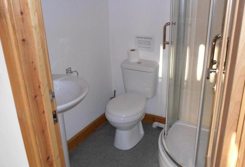 مبيت وإفطار The Bear