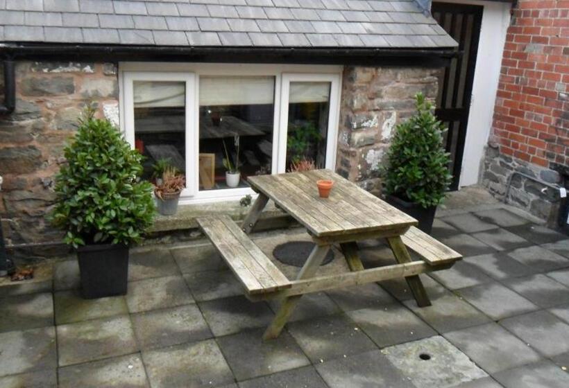 مبيت وإفطار The Bear