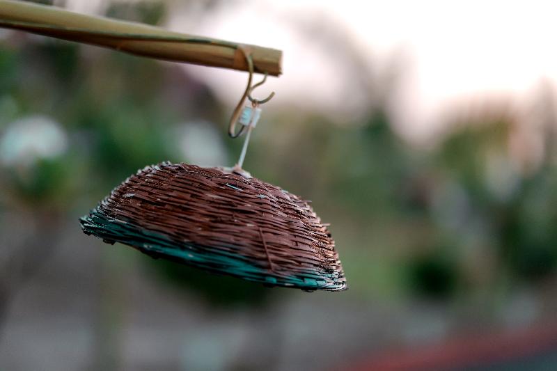 Hotel The Restfo Pench Tiger Resort