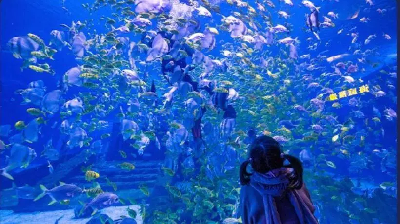 Lebanshan Hotel Sunac Chongqing