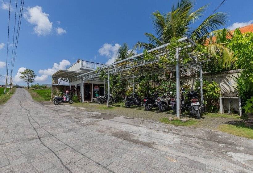 Пансион Frangipani House & Spa By Ecommerceloka