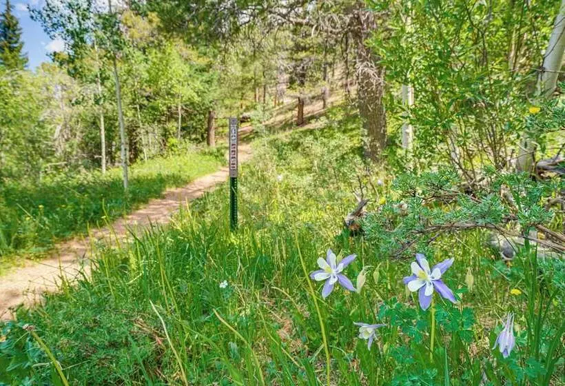 Patio & Hot Tub: Cozy Cabin Retreat In Bailey!