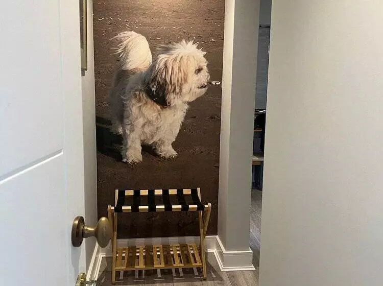 Botany Bay Beach Bed And Breakfast