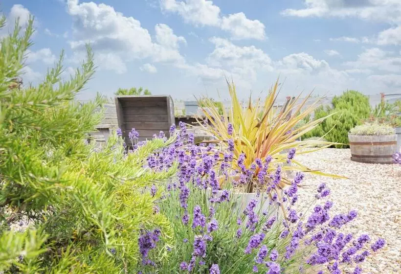 Botany Bay Beach Bed And Breakfast