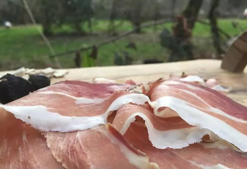 Countryside Cottage Retreat At Ty R Cwm Farm