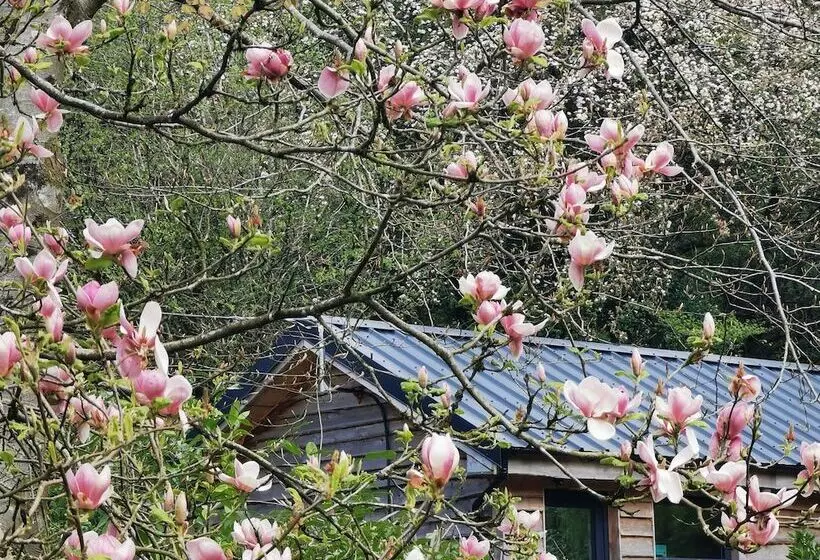 Countryside Cottage Retreat At Ty R Cwm Farm