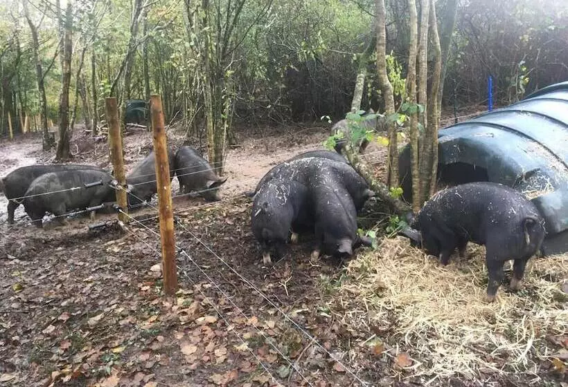 Countryside Cottage Retreat At Ty R Cwm Farm