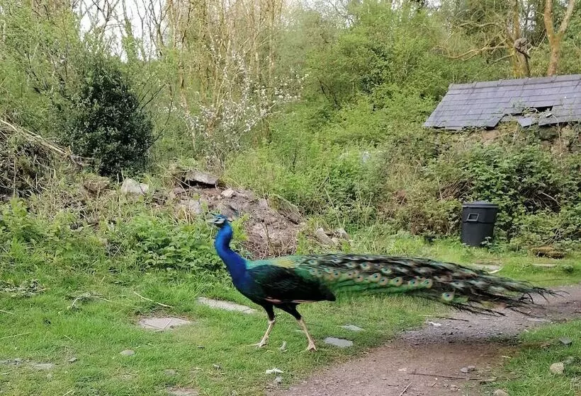 Countryside Cottage Retreat At Ty R Cwm Farm