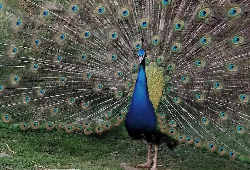 Countryside Cottage Retreat At Ty R Cwm Farm