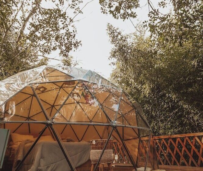 Resort Brisas Del Campo Glamping