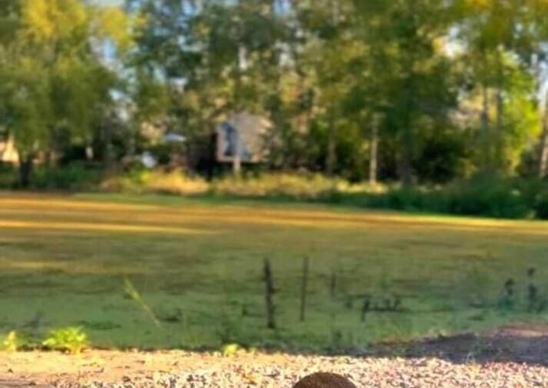 Resort Brisas Del Campo Glamping