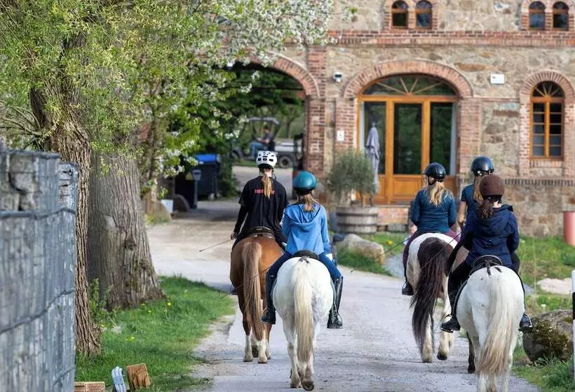 Tinyhousebeidresden3 Sächsische Schweiz
