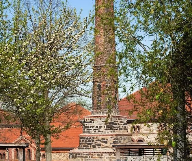 Tinyhousebeidresden3 Sächsische Schweiz