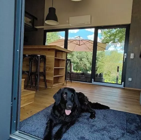 Tinyhousebeidresden3 Sächsische Schweiz