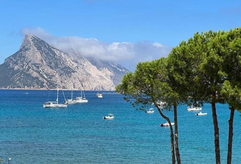 酒店 Dream Holiday On A Luxurious Sailing Yacht