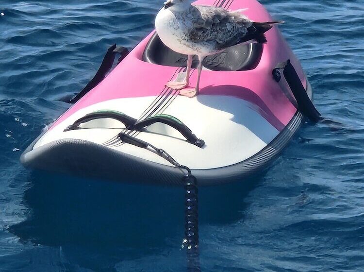 酒店 Dream Holiday On A Luxurious Sailing Yacht