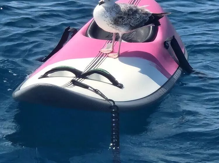 ホテル Dream Holiday On A Luxurious Sailing Yacht