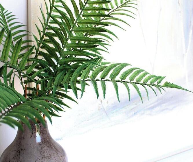 Пансион Iris  Garden Rooms