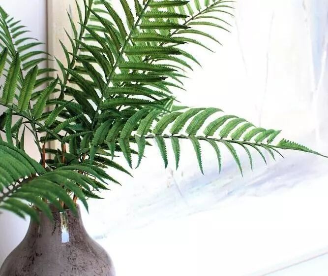 Majatalo Iris  Garden Rooms