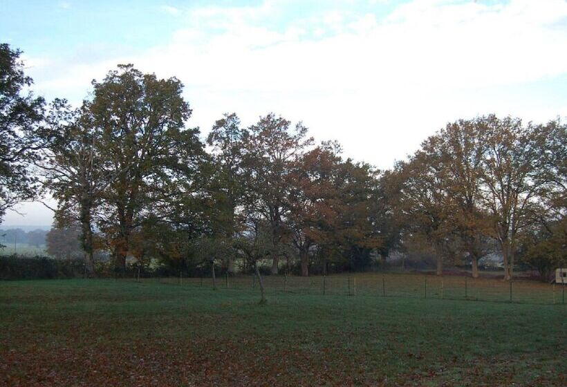 Charming House With Fireplace